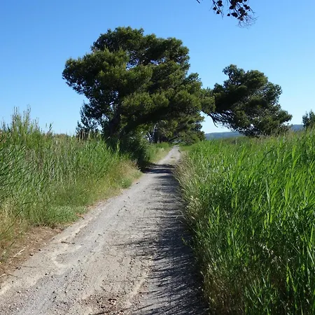 Maison A Proche Et Clape Narbonne-Plage